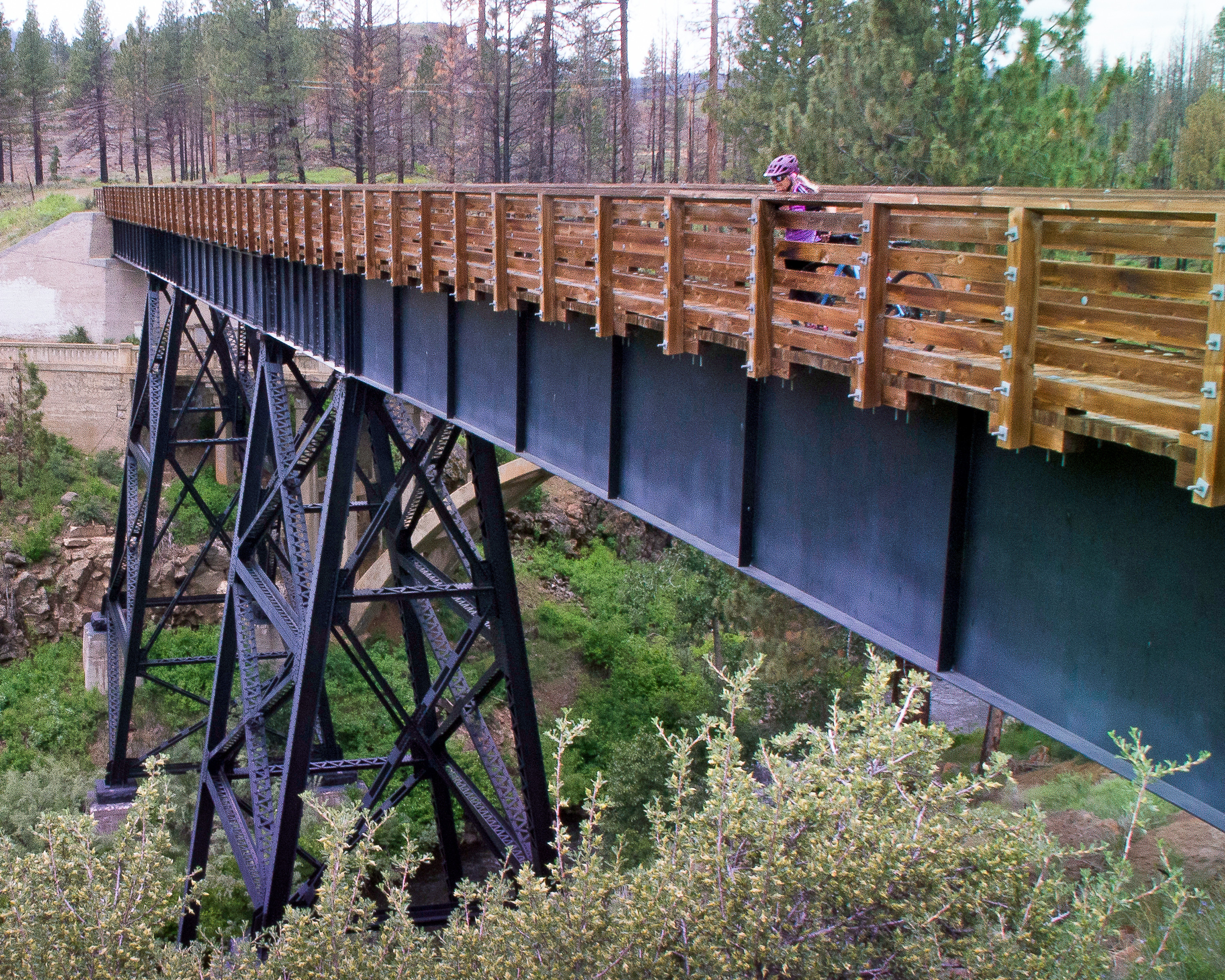 Bizz Johnson Trail-Trestle-2.jpg